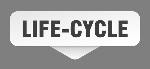 life-cycle sticker. life-cycle sign isolated on gray background