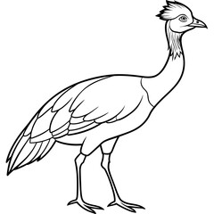 illustration of a cartoon ostrich
