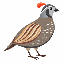 illustration of a bird