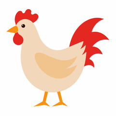 rooster isolated on white