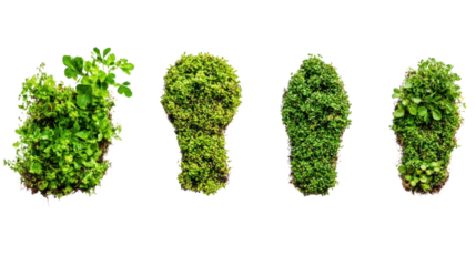 Four green footprints made of lush plants, symbolizing sustainability and nature conservation, isolated on white background.