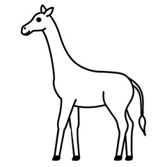 giraffe illustration