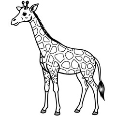 giraffe illustration