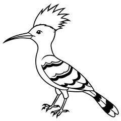 illustration of a bird