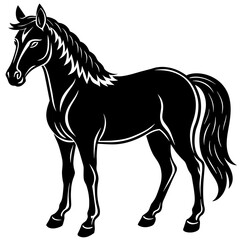 horse illustration