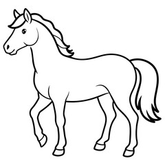 horse illustration