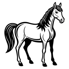 horse illustration