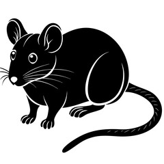 mouse vector illustration