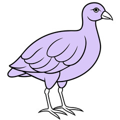illustration of bird