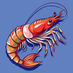 illustration of shrimp