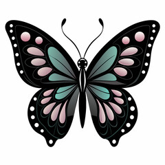 butterfly illustration