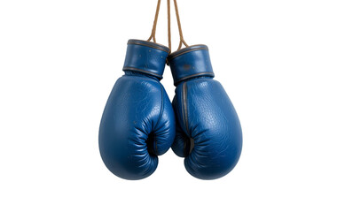 Blue boxing gloves isolated on white and transparent