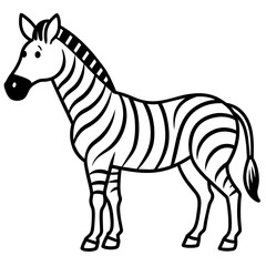 zebra vector illustration