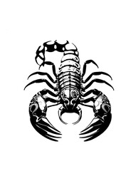 Captivating Scorpion Silhouette Art Inspiration Free Vector
