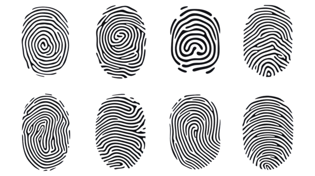 Set of various fingerprint patterns isolated on a white background, ideal for identity and security designs.