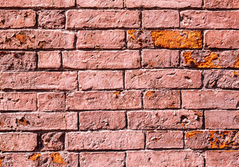 Old red brick wall as creative background. Rough bricks masonry with seams as texture