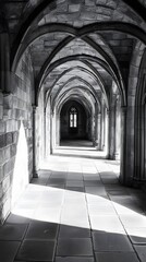 Fototapeta premium Arched Hallway 