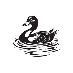 duck with reflection