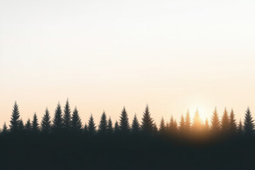 A forest with trees in the background and a sun in the foreground