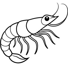 Simple Shrimp Artwork