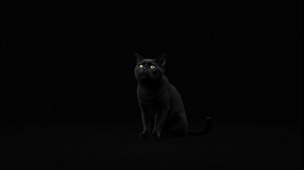 Mysterious Black Cat