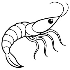Simple Shrimp Artwork