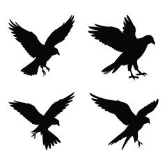 Obraz premium Set of falcon birds silhouette vector