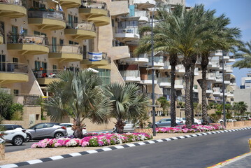Obraz premium modern architecture and streets of Israel, road with palm trees, Israeli flag on balcony