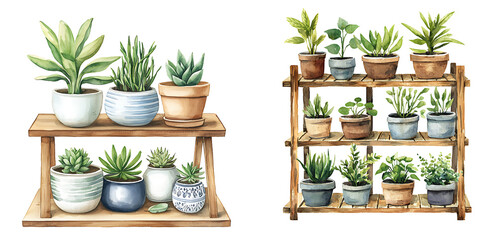 Indoor plant arrangement home illustrative art bright space eye-level greenery aesthetics