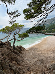 Sea coast in Croatia with flowers and trees. Summer vacation and travel