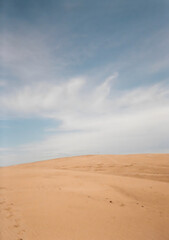 A beautiful Mongolian landscape
