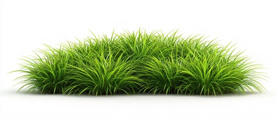 Lush Green Grass Tuft Isolated on White Background Perfect for Nature Designs and Spring Themes