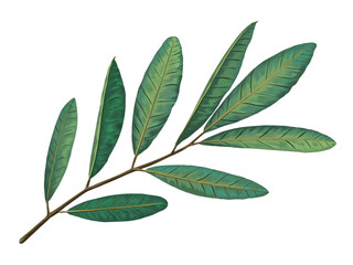 Naklejka premium Vibrant Green Leaves on Diagonal Branch Against White Background