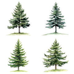 Fototapeta premium Diverse pine trees natural landscape watercolor art calm environment aesthetic view nature concept