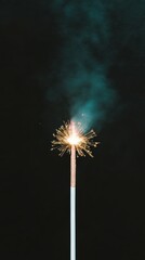 Fototapeta premium Sparkling Firework Celebration Party Festive Light Night Glowing Bright Dark Backgr