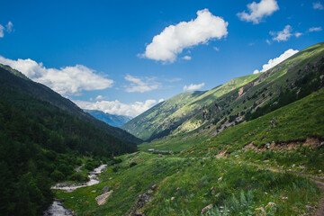 Obraz premium green summer grass covered Caucasus Mountains with blue cloudy sky