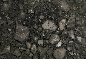 Coal is a fossil energy source formed from ancient plants trapped in Earth's layers for millions of years. Widely used for power generation and industry