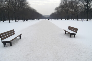 A snow covered path with two benches on either side