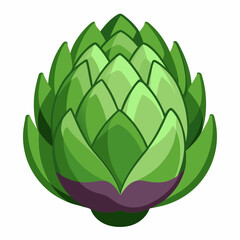 Artichoke vector white background