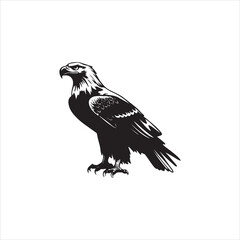 Eagles and Their Impact on Local Wildlife