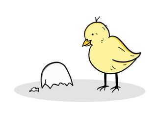 Cute chick curiously looking at the eggshell it hatched from. The drawing is in a playful and cartoonish style, with soft lines and vibrant colors. 