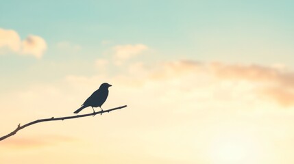 Silhouette of a bird perched on a branch against a sunset sky.