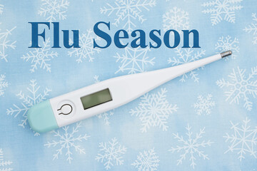 Flu Season Thermometer with Snowflakes