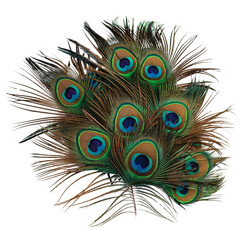 Obraz premium Vibrant Peacock Feathers Displaying Eye-Catching Patterns