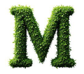 Green leafy letter M on transparent background