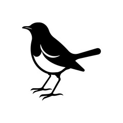 Winter wren bird silhouette icon vector illustration design on white background.