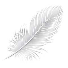 Elegant White Feather on Plain Background Displaying Purity