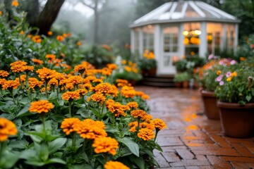 A vibrant zinnia garden path, leading to a cozy greenhouse surrounded by blooming plants