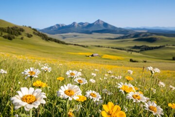 A zinnia-filled wildflower meadow swaying gently in the breeze under a clear blue sky
