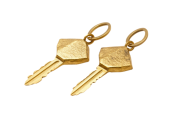 House key pair with metal house shaped keyring isolated on white background. PNG



